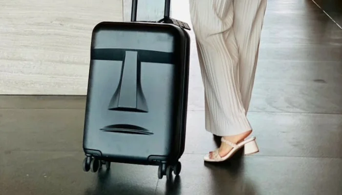 Designer Luggages